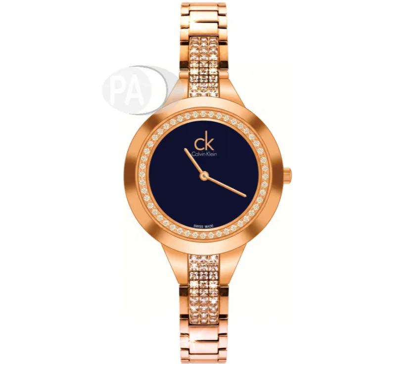 Calvin Klein Bracelet Womens WristWatch Switzerland